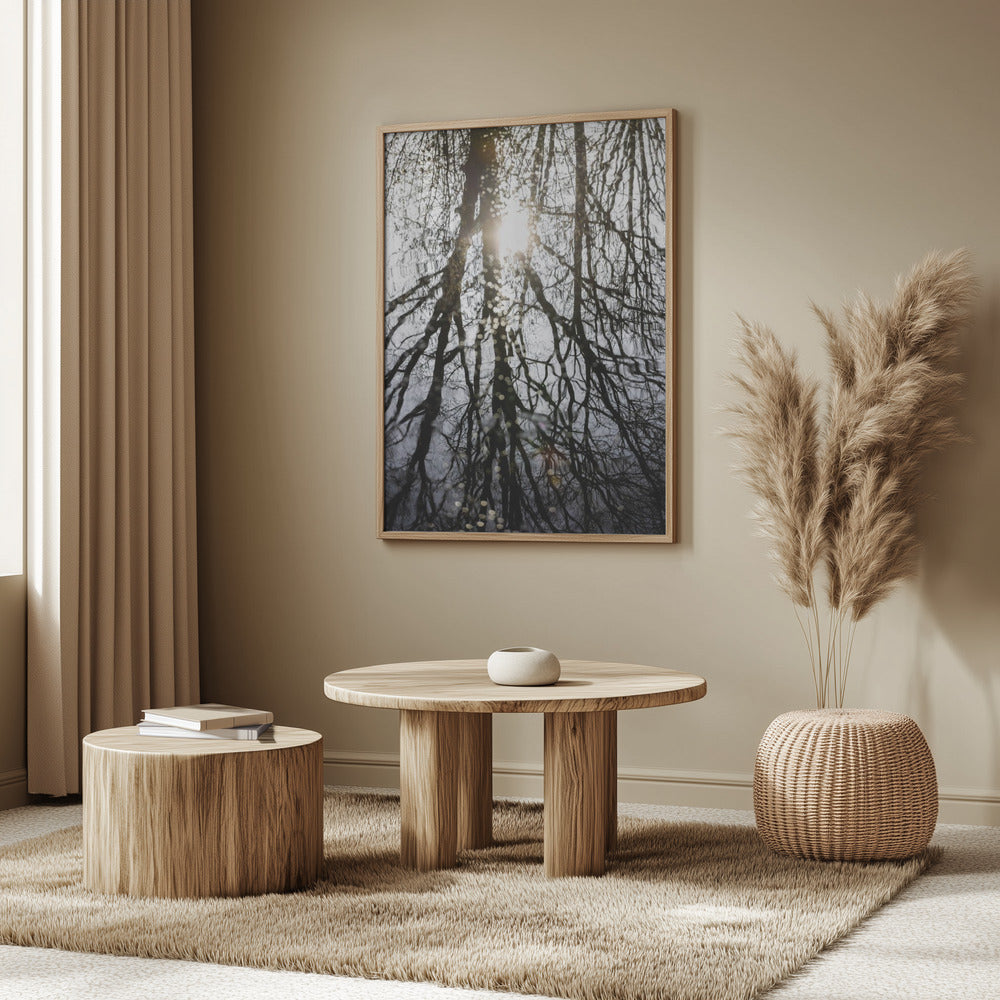 Winter Reflections 4 | Poster
