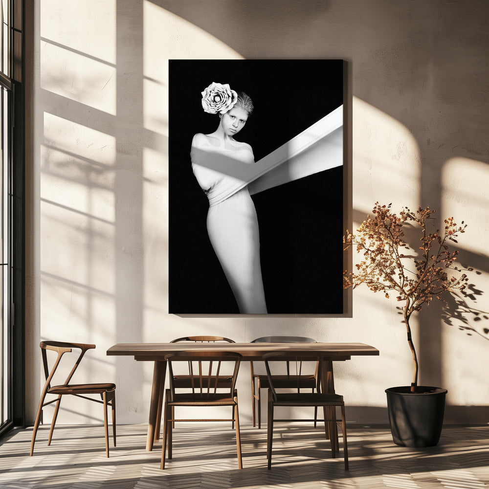 Elegant Enigma | Canvas