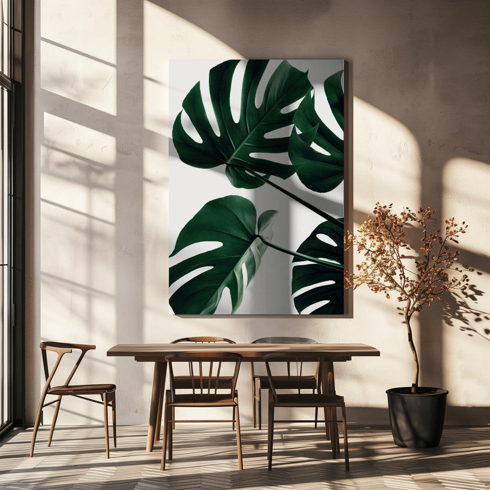 Monstera Naturale 43 | Stampe su Tela