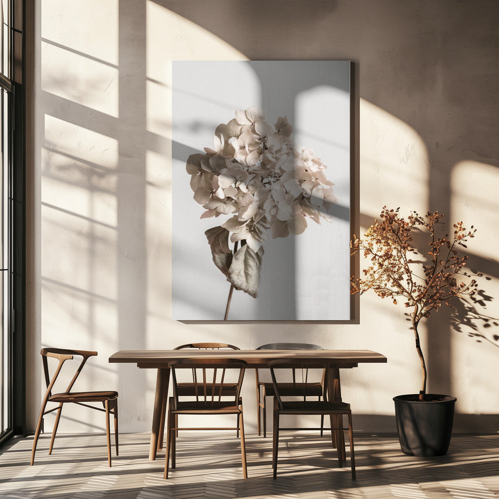 Fiore secco beige | Stampe su Tela