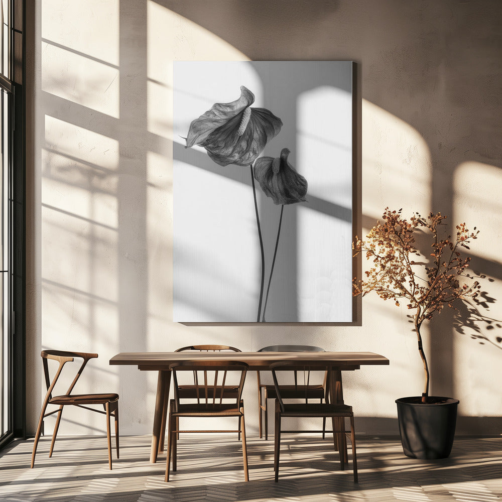 Anthurium | Tableaux sur Toile