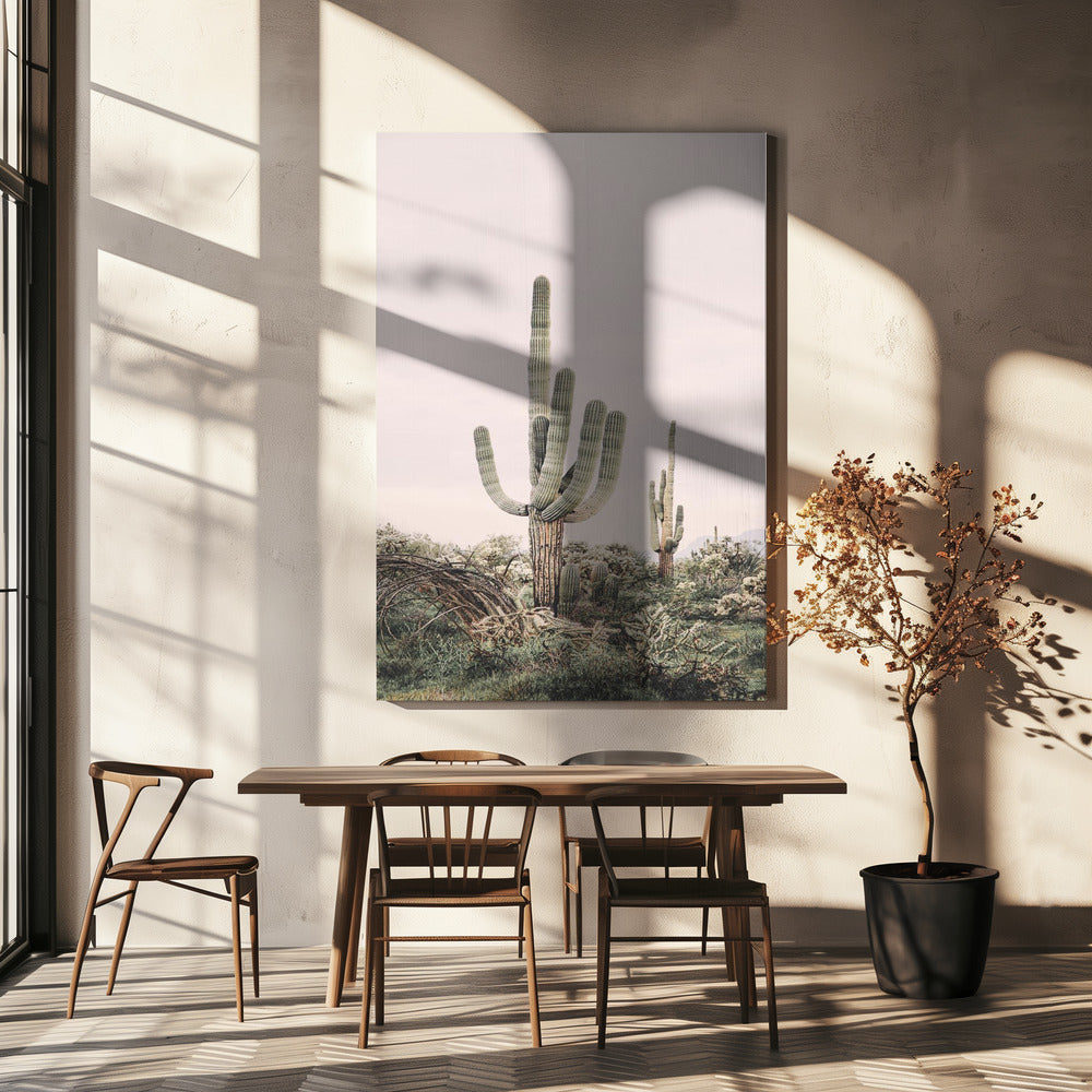 Pink Saguaro | Canvas