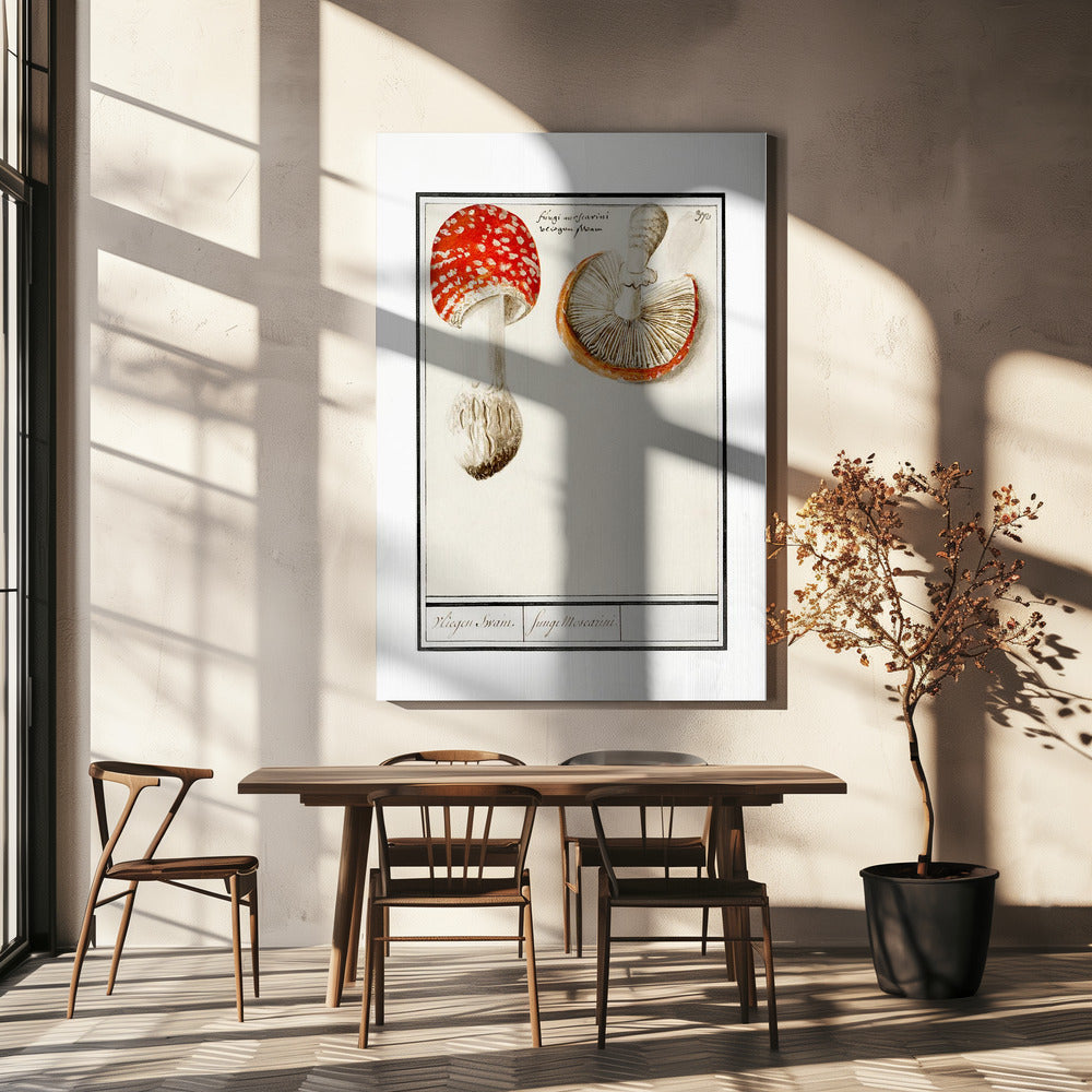 Fly Agaric, Amanita Muscaria | Impresiones en Lienzo