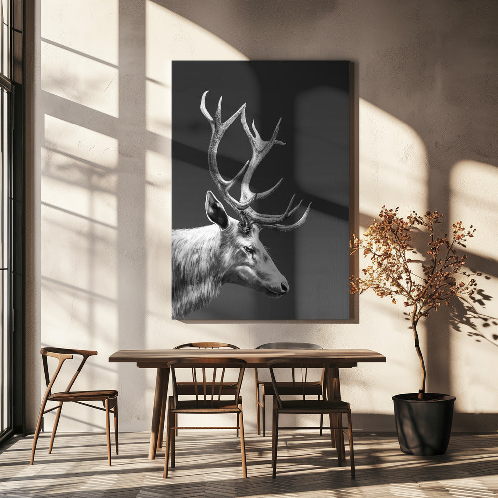 Renne | Tableaux sur Toile