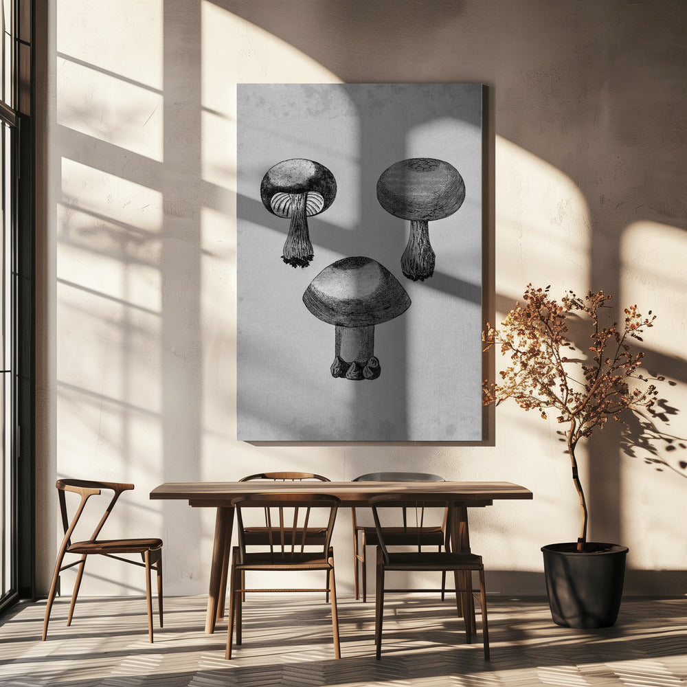 Champignon à toile violette | Tableaux sur Toile