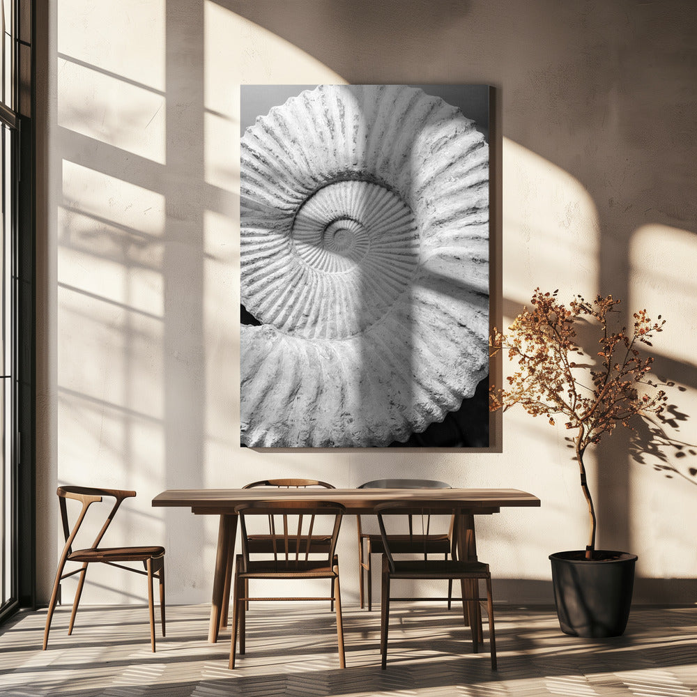 Formula | Canvas