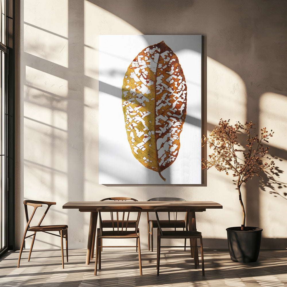 Rainforst Leaf 02 | Canvas