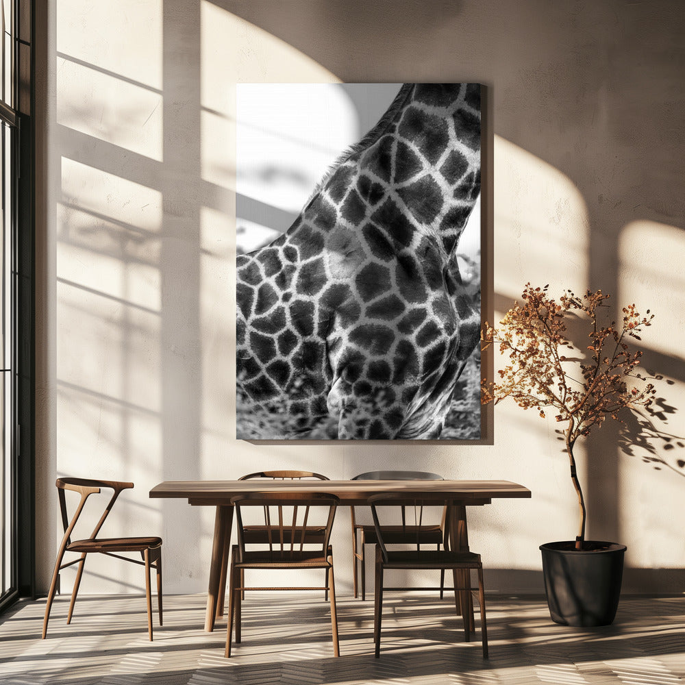 Super Safari No3 | Canvas
