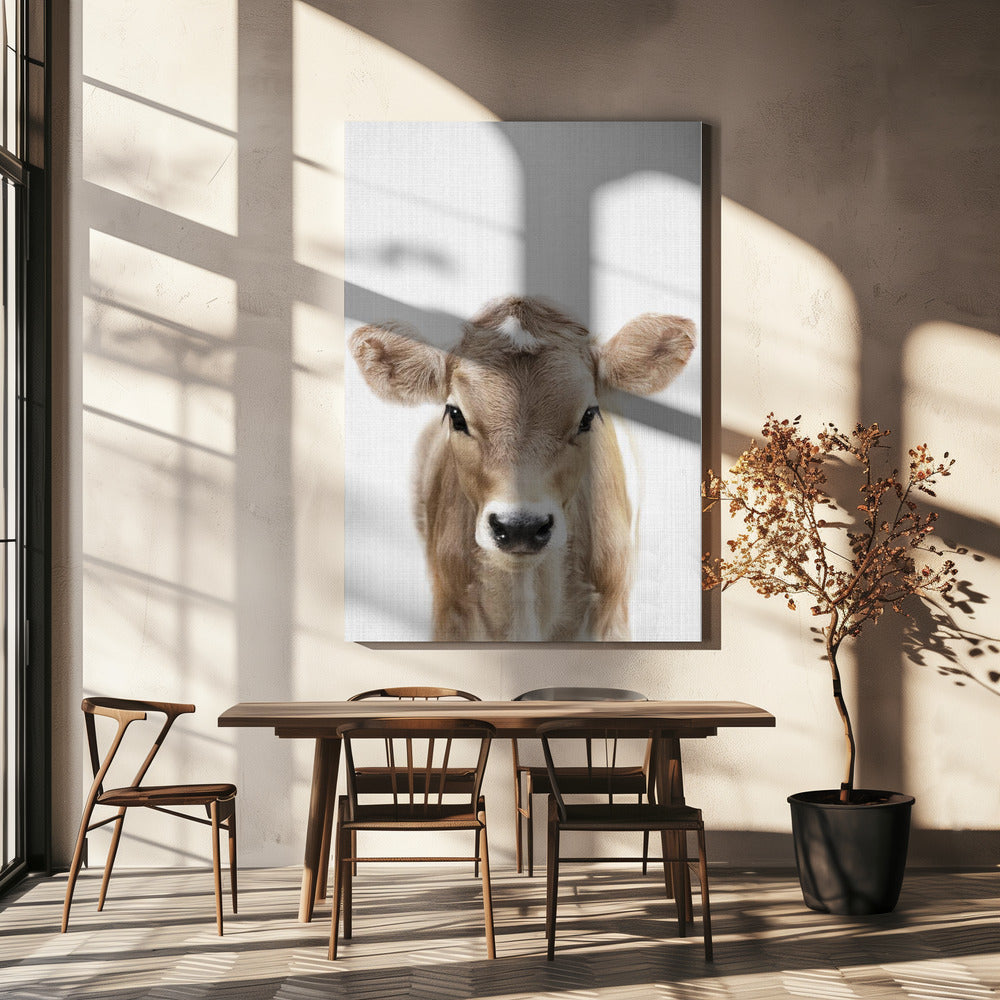 Peekaboo Baby Cow | Canvas