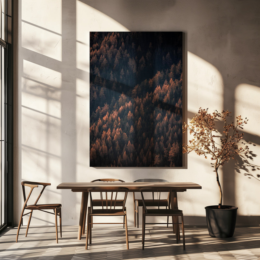 Autumn Woods 2 | Canvas