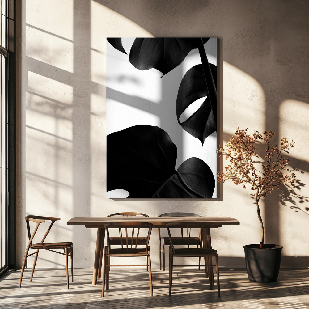 Contraste Monstera | Tableaux sur Toile