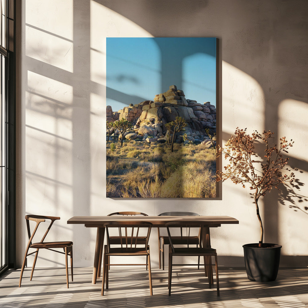 Joshua Tree Solnedgang | Lærredsbilleder