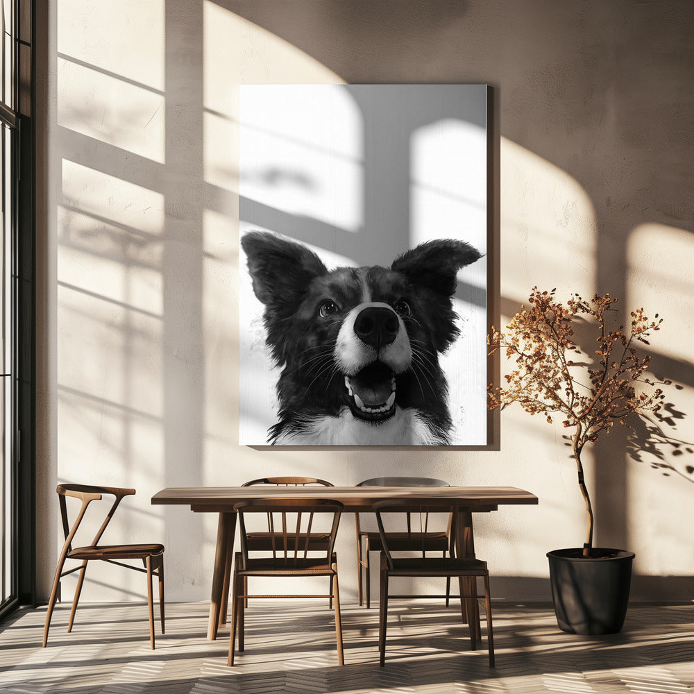 Joyful Canine Gaze | Canvas