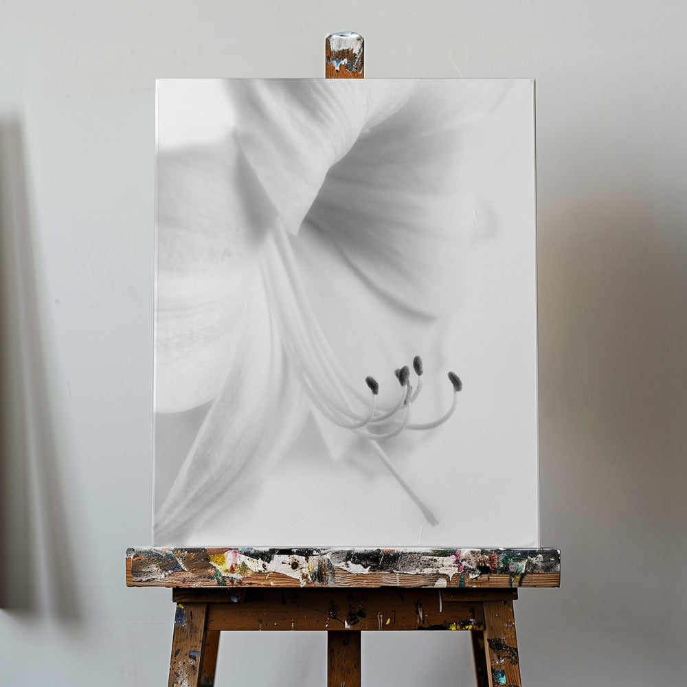 Blanco sobre blanco | Impresiones en Lienzo