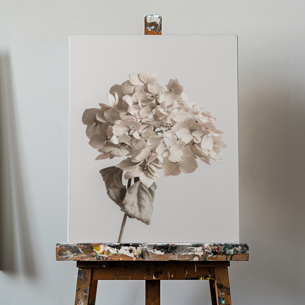 Fiore secco beige | Stampe su Tela