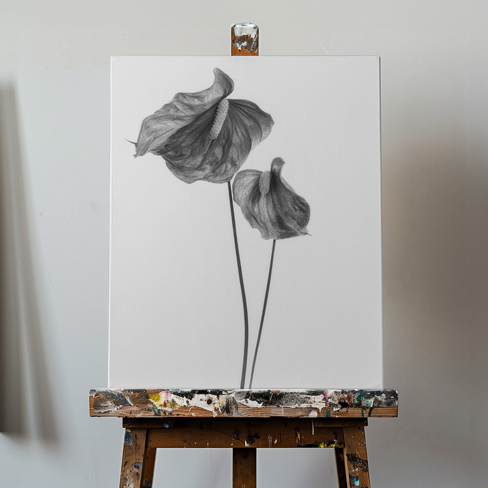 Anthurium | Tableaux sur Toile