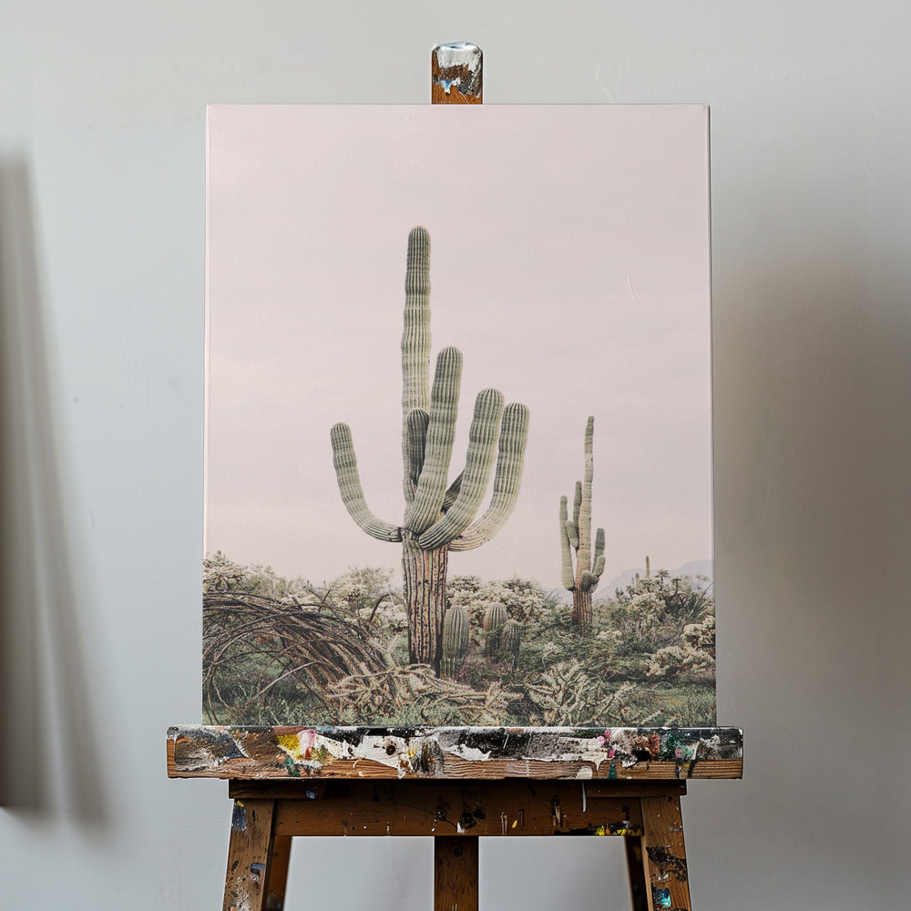 Pink Saguaro | Canvas