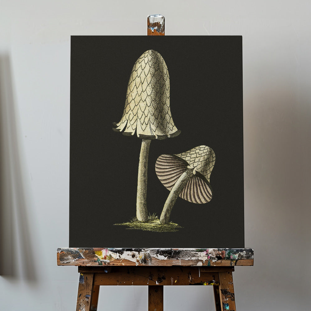 Champignon comestible vintage à capuchon d'encre sur fond noir | Tableaux sur Toile