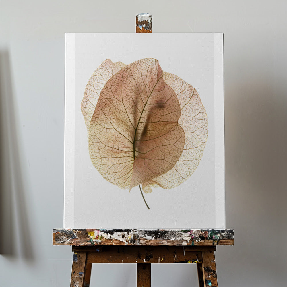 Studium Bougainvillea nr 7 | Wydruki na łótnie