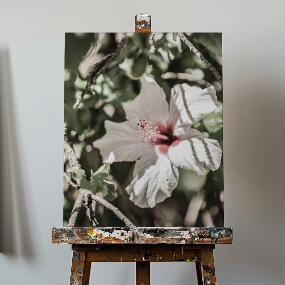 Whispering Blossom | Canvas