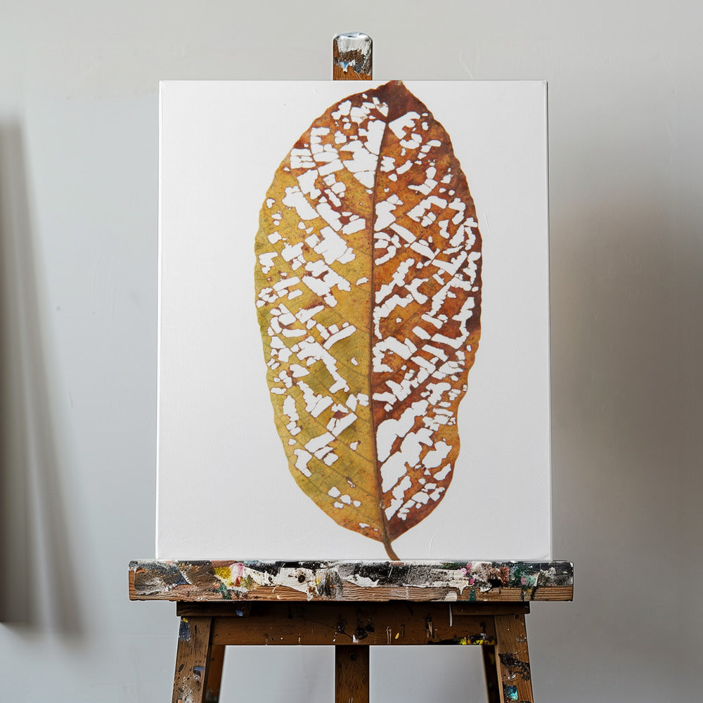 Rainforst Leaf 02 | Canvas