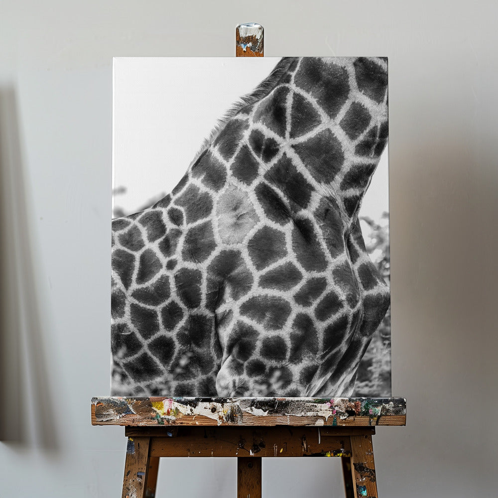 Super Safari No3 | Canvas