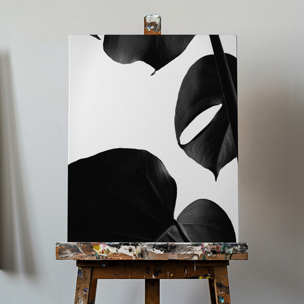 Contraste Monstera | Tableaux sur Toile