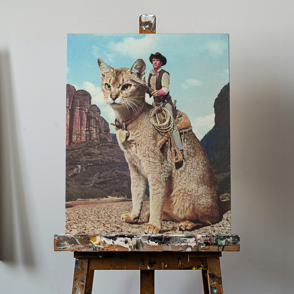 Katze Lone Ranger | Leinwand-Bilder