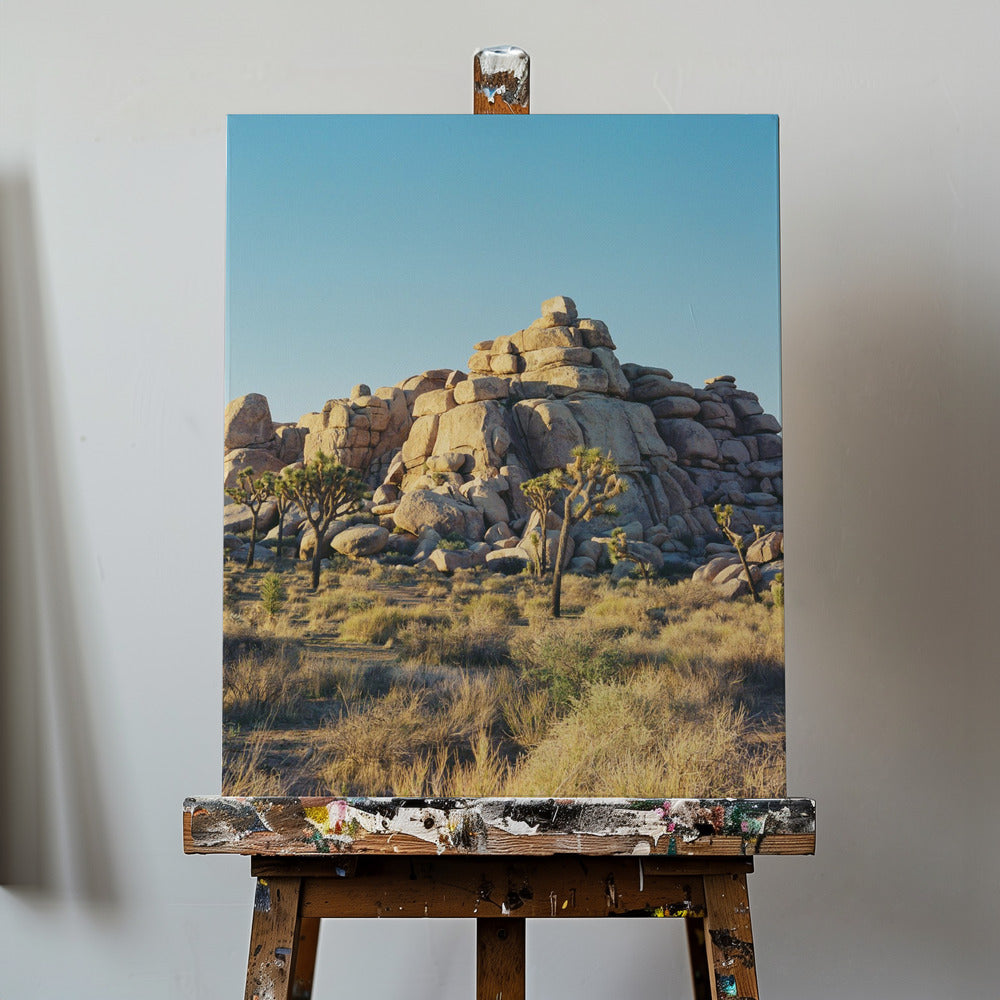 Joshua Tree Solnedgang | Lærredsbilleder