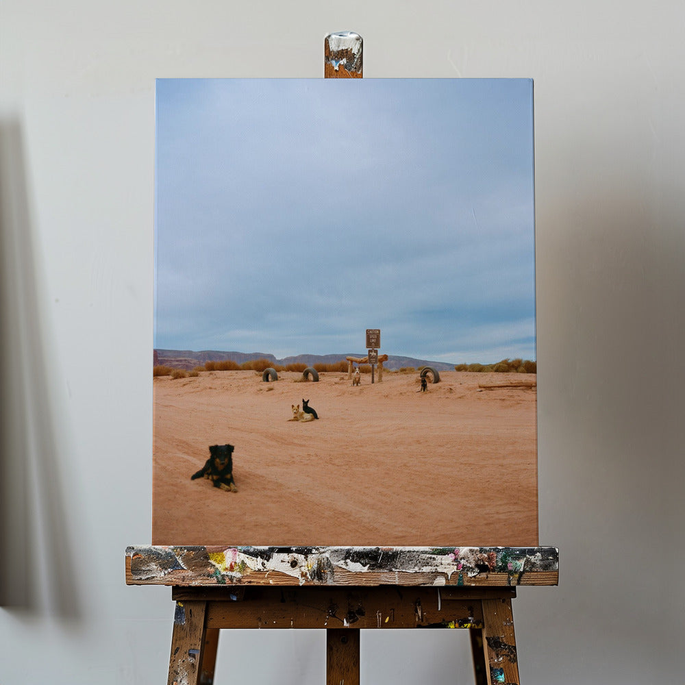 Monument Valley VIII | Stampe su Tela