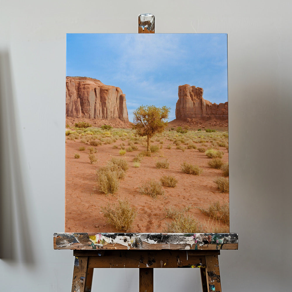 Monument Valley X | Leinwand-Bilder