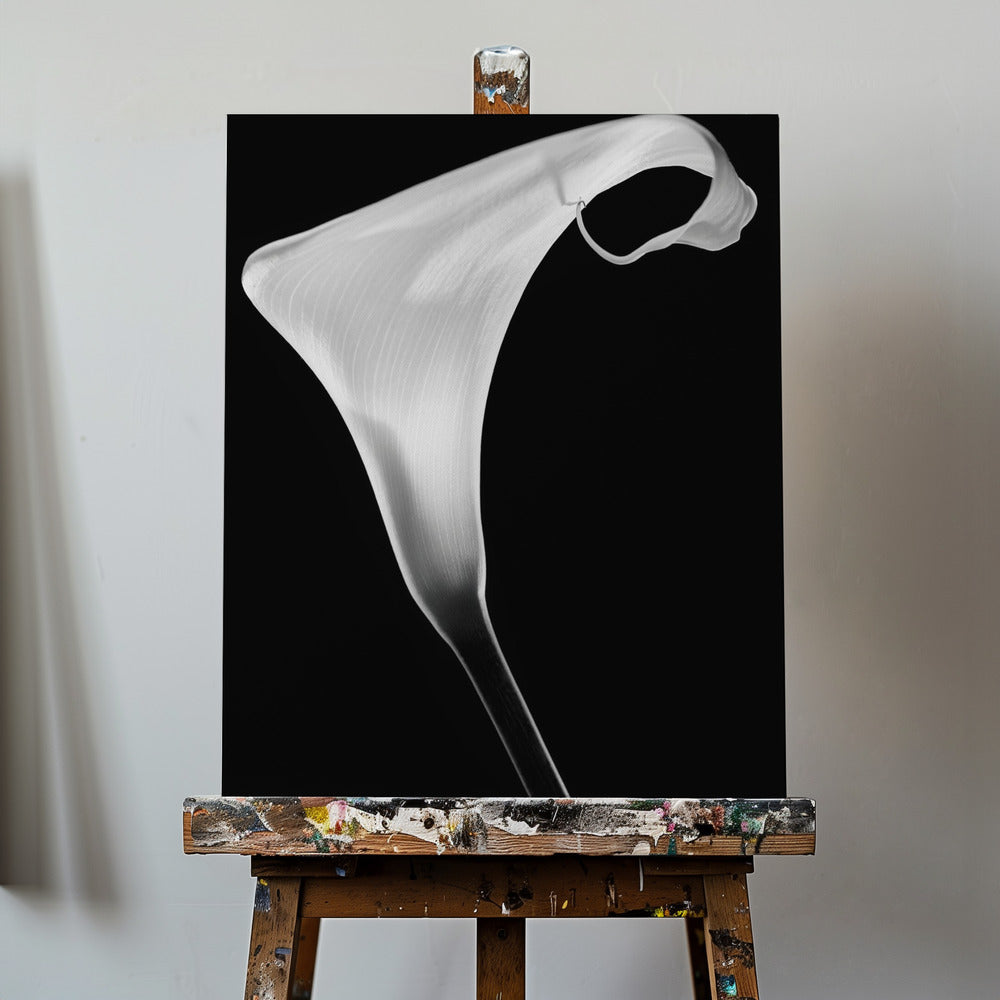 Calla | Leinwand-Bilder