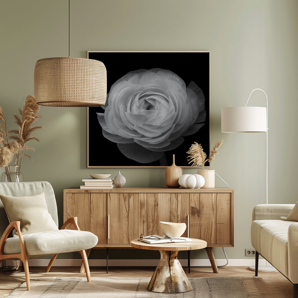 Renoncule | Tableaux sur Toile
