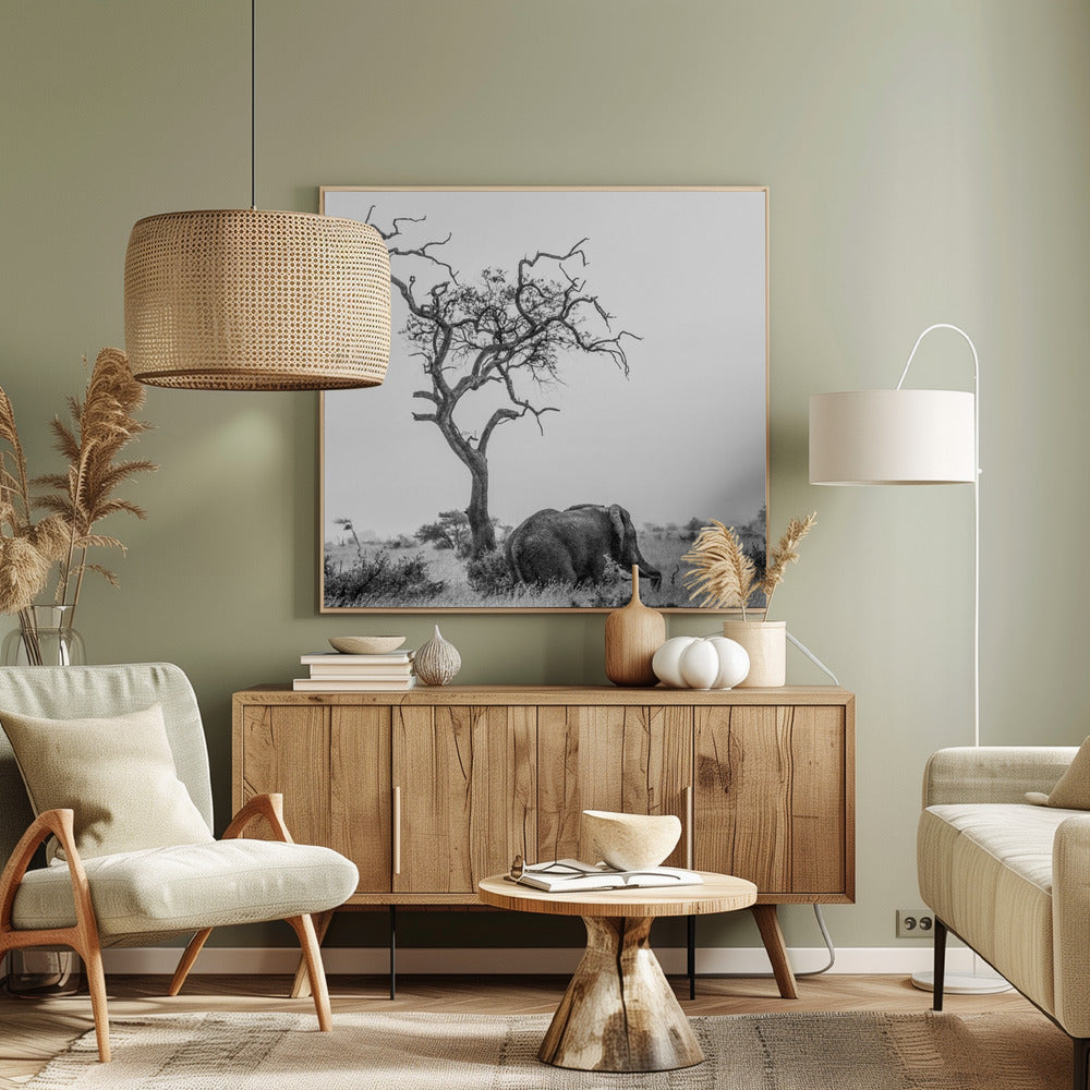 L'albero e l'elefante | Stampe su Tela