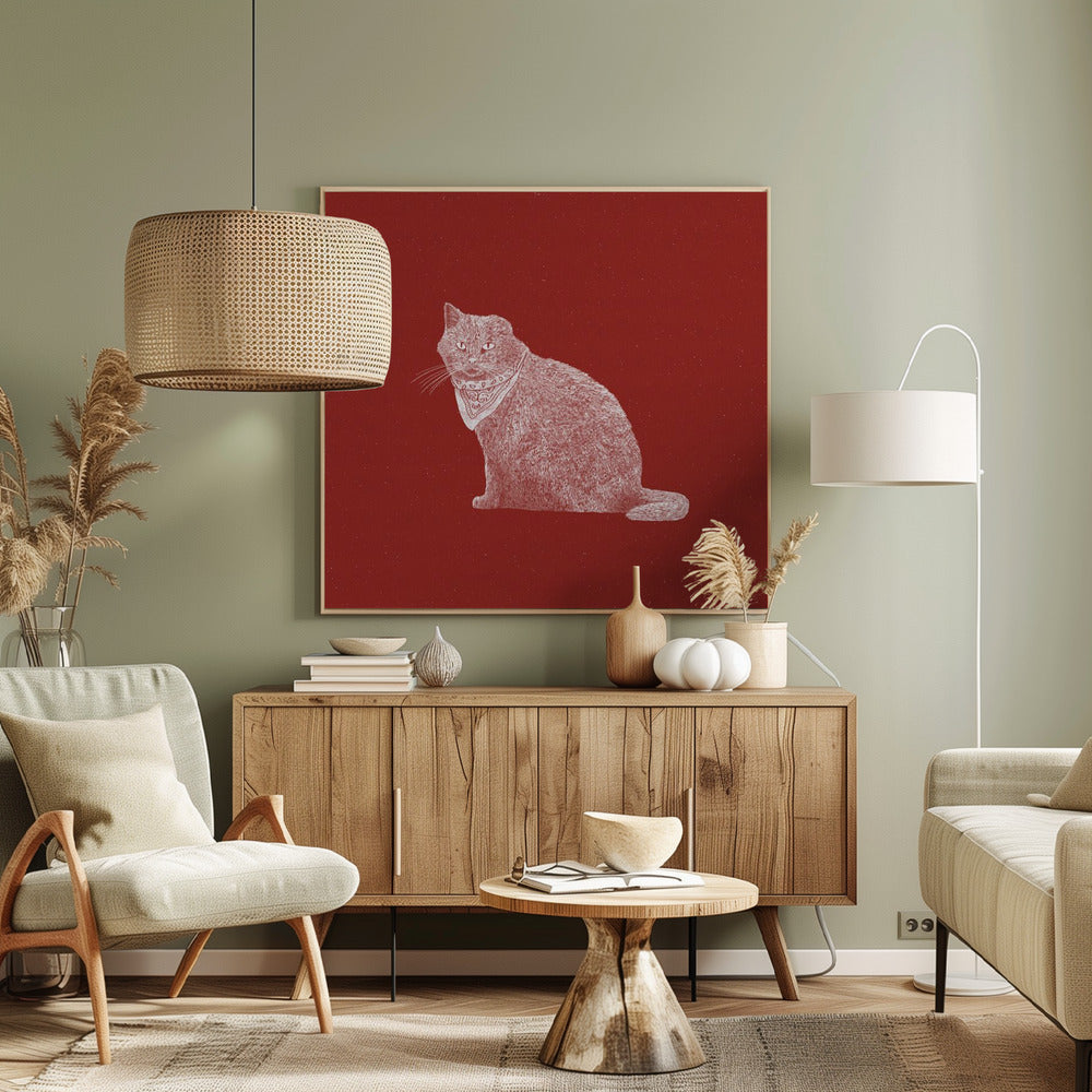 Knallharte Banditenkatze | Leinwand-Bilder