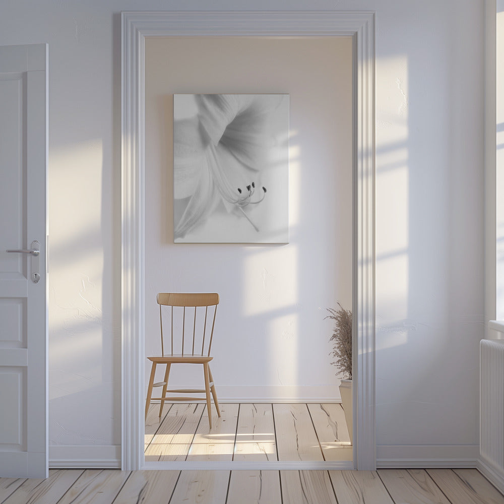 Blanco sobre blanco | Impresiones en Lienzo