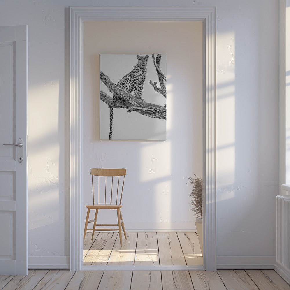 Leopardenporträt – Mono Var | Leinwand-Bilder