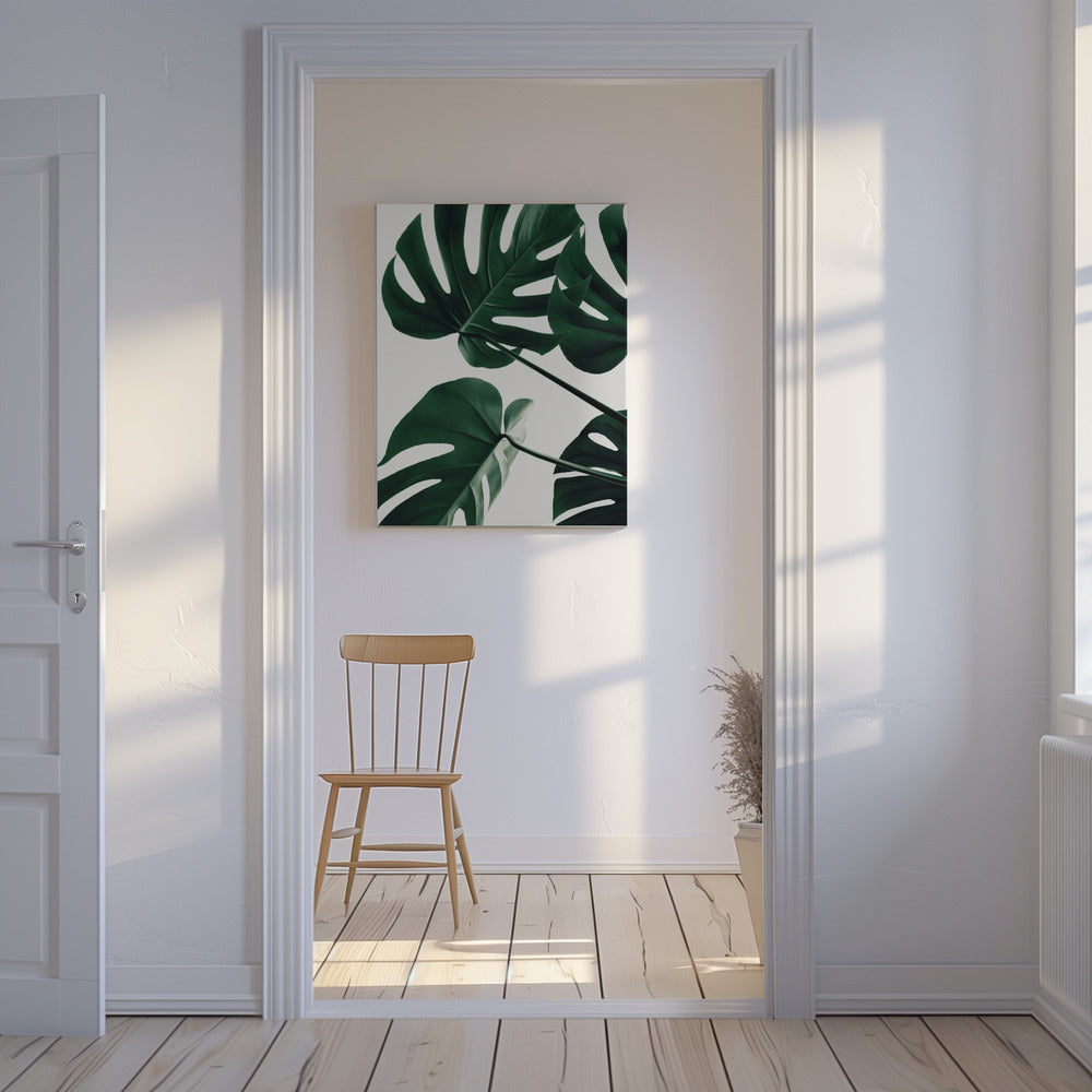 Monstera Naturale 43 | Stampe su Tela