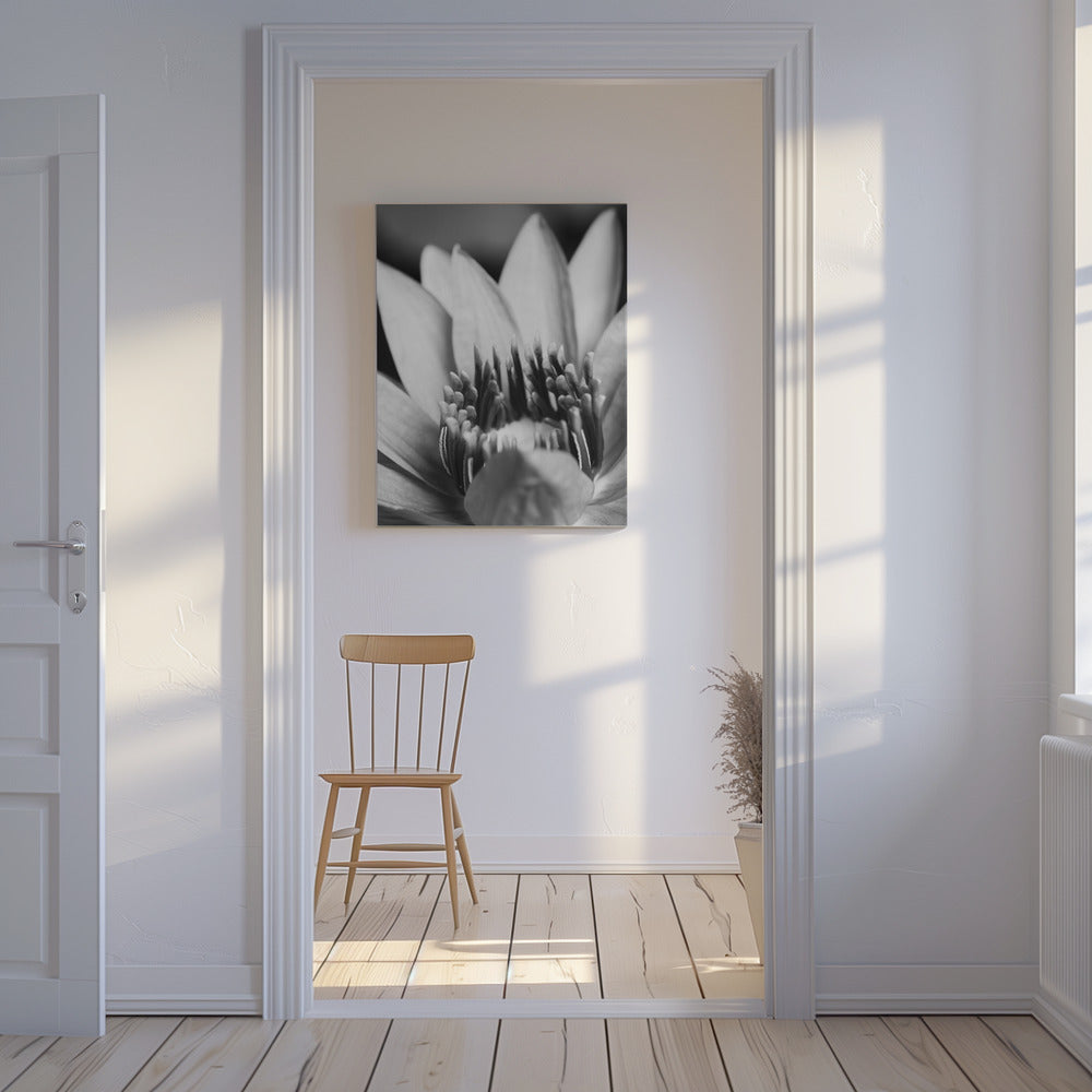 Fiore, primo piano | Stampe su Tela