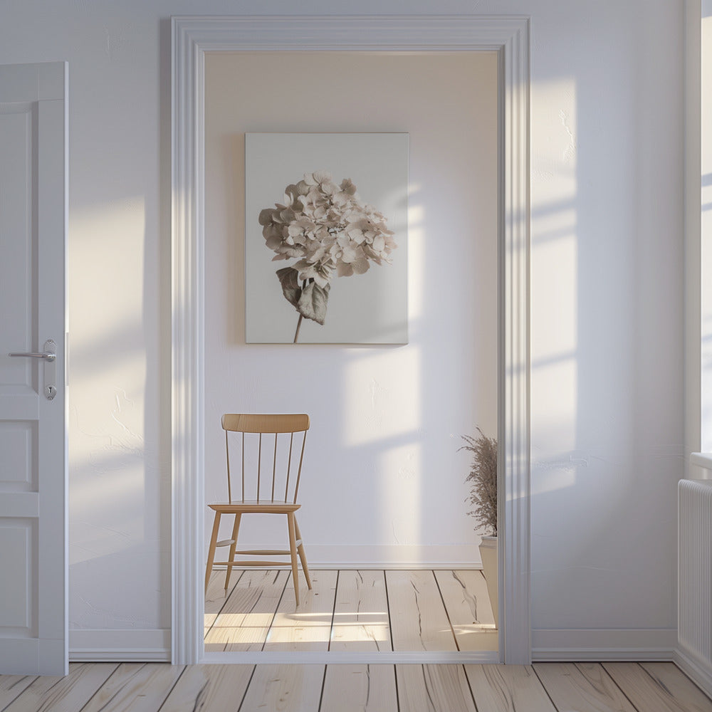 Fiore secco beige | Stampe su Tela