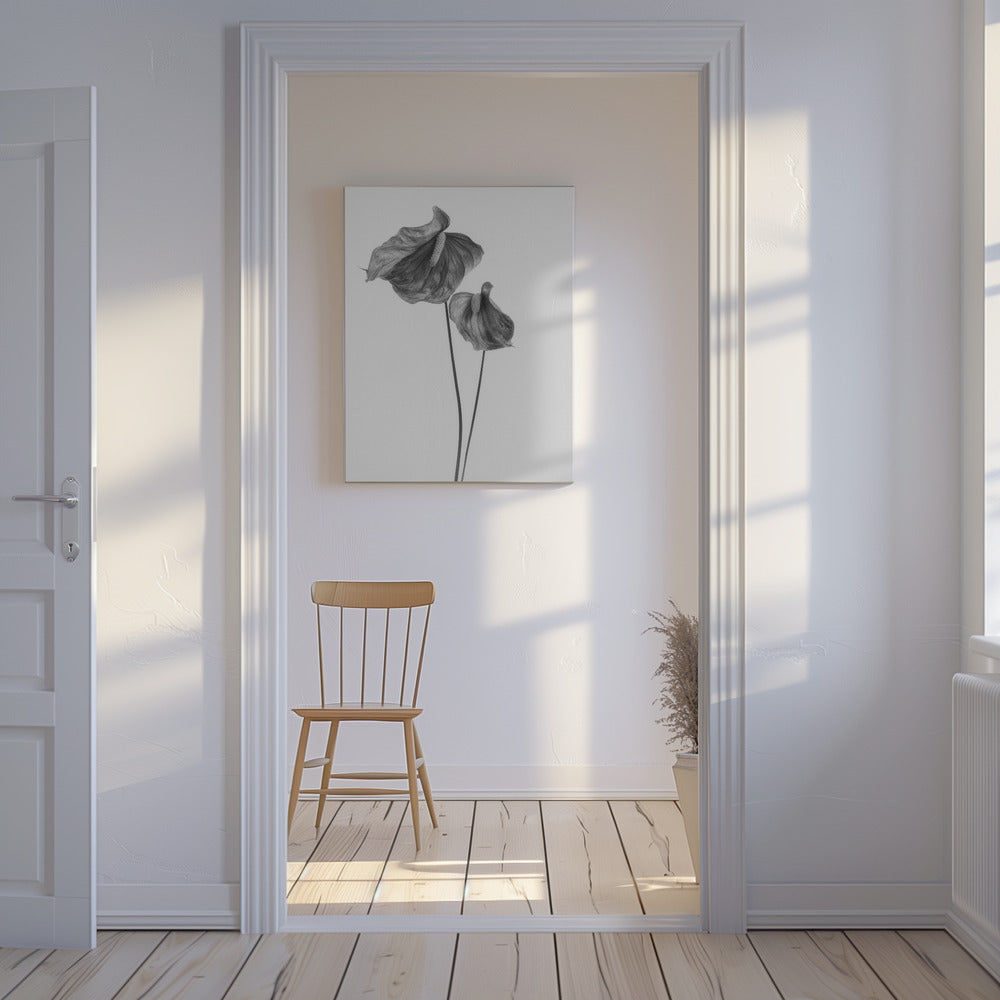 Anthurium | Tableaux sur Toile