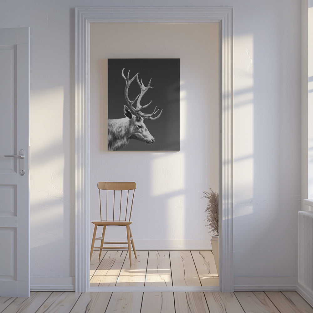 Renne | Tableaux sur Toile