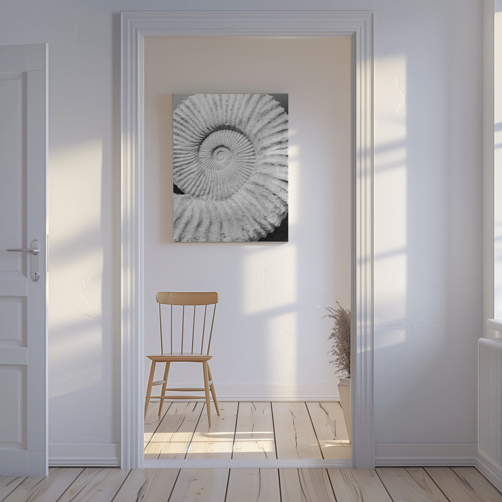 Formula | Canvas