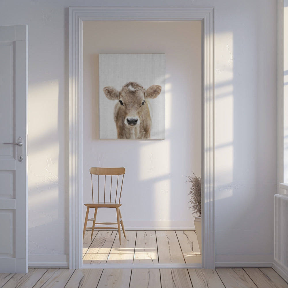 Peekaboo Baby Cow | Canvas