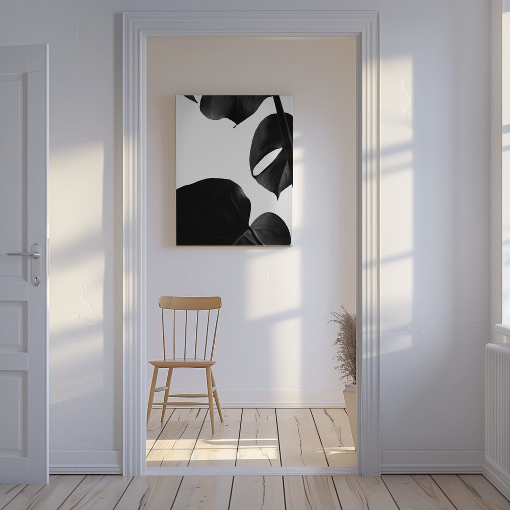 Contraste Monstera | Tableaux sur Toile