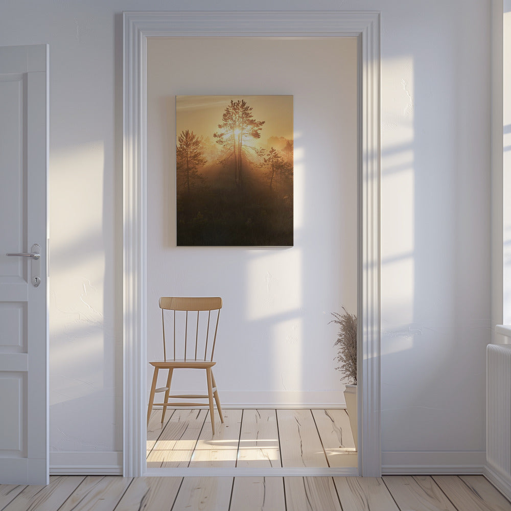 20220809 Dsf8009 Hdr 1 | Canvastaulut