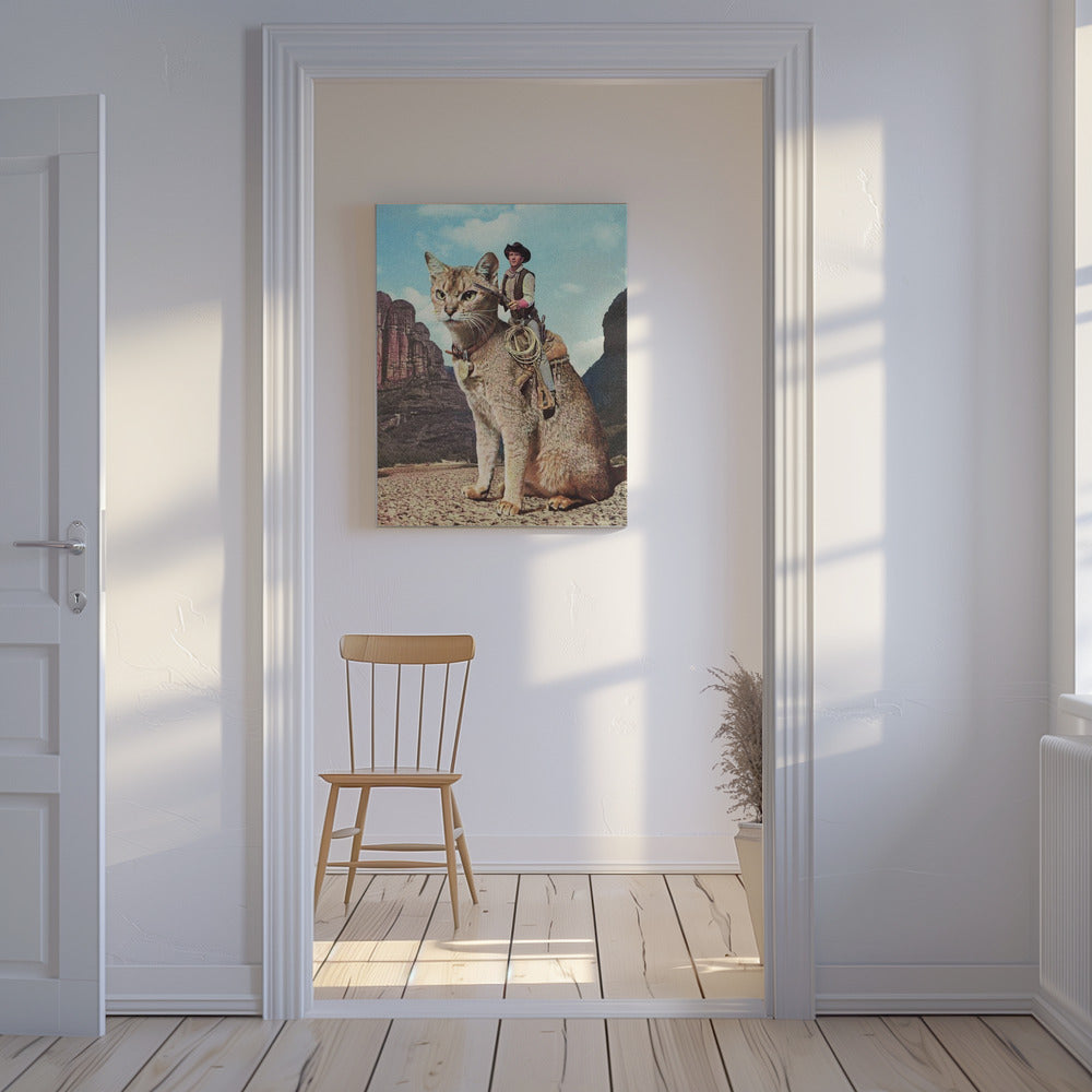 Katze Lone Ranger | Leinwand-Bilder