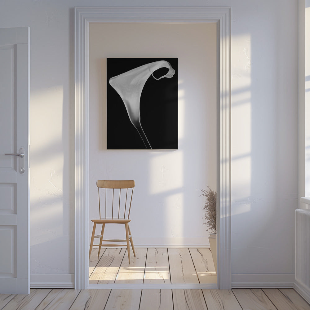 Calla | Leinwand-Bilder