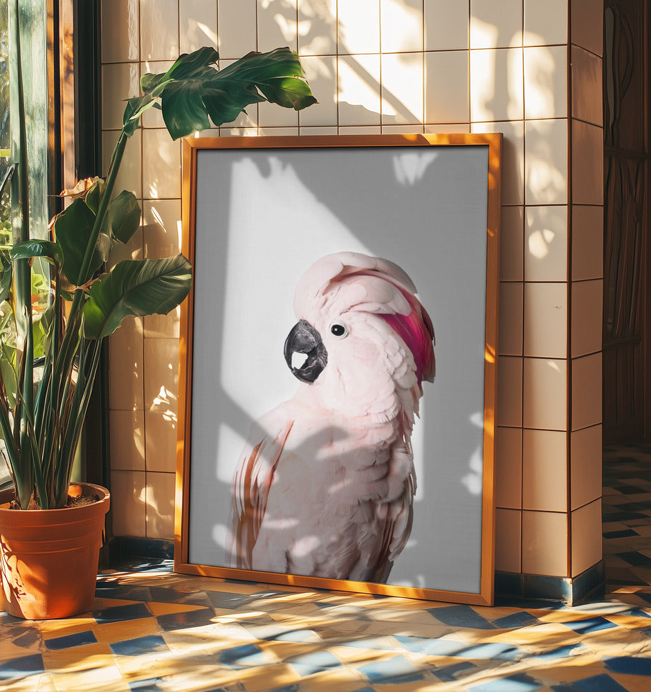 Cacatúa rosa Posters - Impresiones de Arte