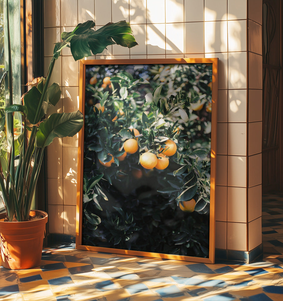 Arance di Marrakech | Poster - Stampe d’Arte
